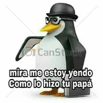 licencia 
