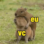 capivara | capibara 