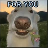 Stickers 🐾⋆Perros|Dogs|Perritos🐾°