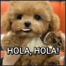 Stickers 🐾⋆Perros|Dogs|Perritos🐾°