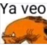 Stickers licencias kronk