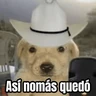 Stickers 🌸 Corridos Onichan - Anime 😂
