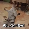Stickers Perros y gatos divertidos🐾🐾🐾