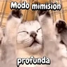 Stickers Perros y gatos divertidos🐾🐾🐾