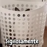 Stickers Perros y gatos divertidos🐾🐾🐾