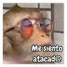 Stickers Monos traviesos 🙈💯