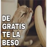 Stickers 🔥𑄝GATOS HORNY/HORNY CATS𑄝🔥
