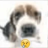 Stickers perro 🐕 