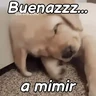 Stickers A mimir 💤 Perros 🐶😴