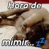 Stickers A mimir 💤 Perros 🐶😴
