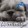 Stickers A mimir 💤 Perros 🐶😴