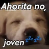 Stickers A mimir 💤 Perros 🐶😴
