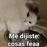 Stickers Gatos pa Responder 2🐱🌼