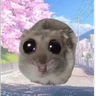 Stickers Rata triste de TikTok Meme😞🐭🐁