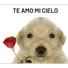 Stickers Mis pegatinas