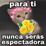 Stickers Flores amarillas🌻🍃💐