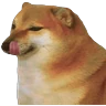 Stickers Perros xd