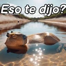 Stickers Modo Capibara  🦫(⁠´⁠(⁠ｪ⁠)⁠｀⁠）