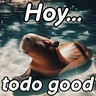 Stickers Modo Capibara  🦫(⁠´⁠(⁠ｪ⁠)⁠｀⁠）