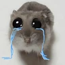 Stickers 🐀 Rata Triste 🐀🐀 Meme 🐀