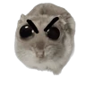 Stickers Ratita triste - Memes 🥲🤣
