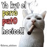 Stickers Animales con frases 💬