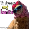 Stickers Animales con frases 💬