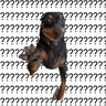 Stickers sexo cn animales pequeños