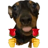 Stickers sexo cn animales pequeños