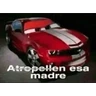 Stickers memes estúpidos pt2