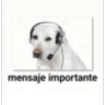 Stickers memes estúpidos pt2