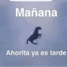 Stickers memes estúpidos pt2