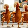 Stickers Dance,Gallinas virales TikTok🐔
