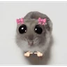 Stickers funny memes