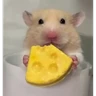 Stickers Hámsters,Ratitas y algo más 🐹🐭