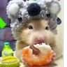 Stickers Hámsters,Ratitas y algo más 🐹🐭