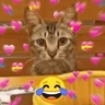 Stickers Gatos Amor💖💙💛