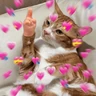 Stickers Gatos Amor💖💙💛