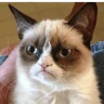 Stickers Animales locos