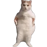 Stickers Meme Kucing Viral #2 🐱
