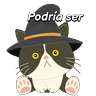 Stickers Halloween Cute Black Cat🐈‍⬛✨