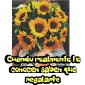 Stickers Girasol 🌻 