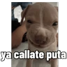 Stickers PARA CONTESTAR