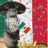 Stickers Memes Viva México Septiembre 🇲🇽