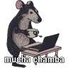 Stickers Animales miados