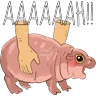 Stickers Animales miados