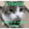 Stickers Michi frases