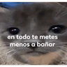 Stickers Michi frases