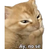 Stickers Michi frases