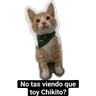 Stickers Animales Divertidos